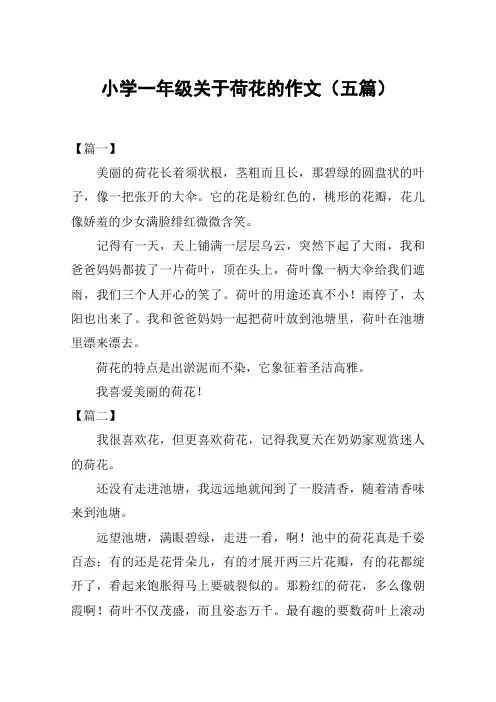 小学一年级关于荷花的作文(五篇)