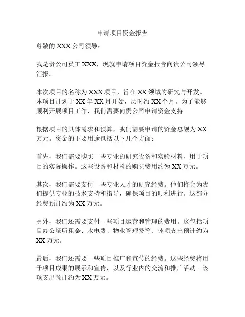 申请项目资金报告