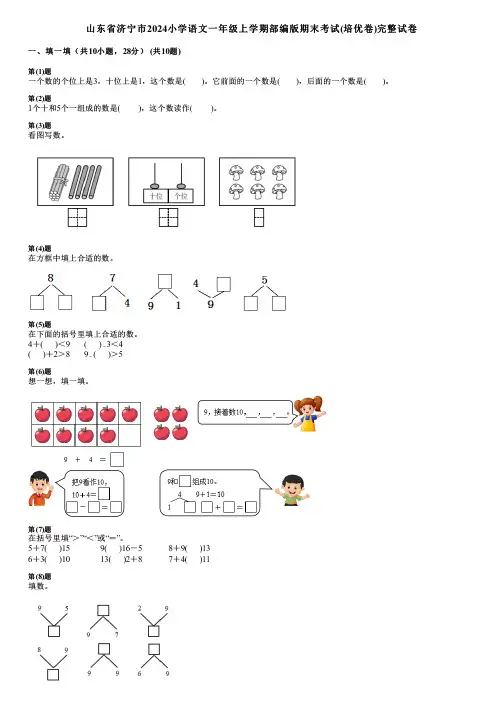 山东省济宁市2024小学数学一年级上学期部编版期末考试(培优卷)完整试卷