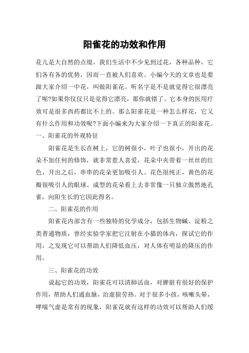 阳雀花的功效和作用