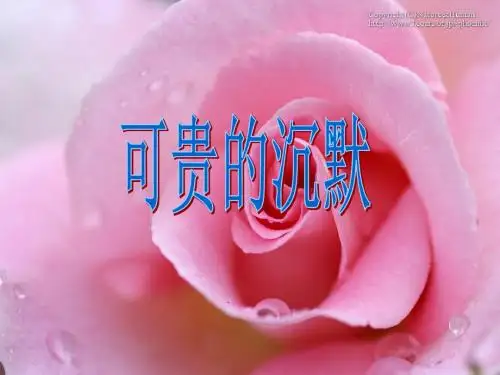 小语三下第17课《可贵的沉默》优质课精心制作ppt