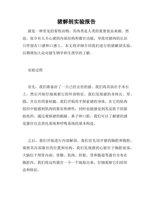 猪解剖实验报告