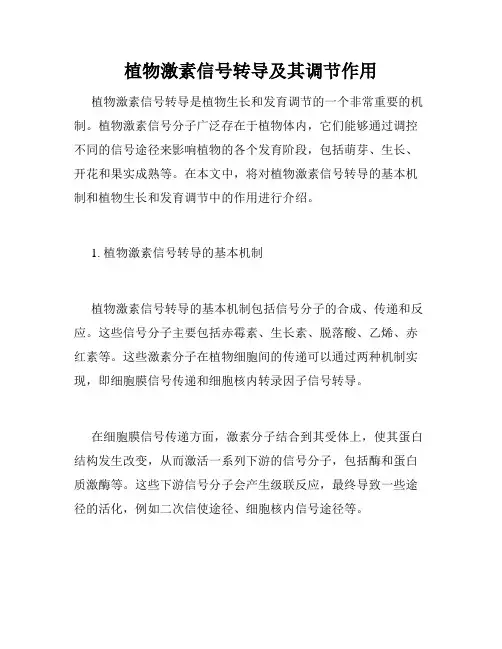 植物激素信号转导及其调节作用