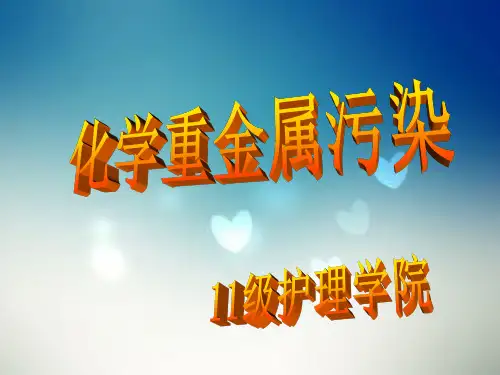 化学重金属污染PPT