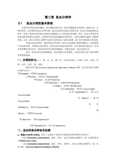 昆虫分类学