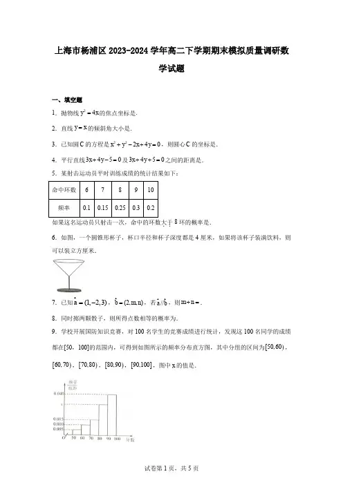 上海市杨浦区2023-2024学年高二下学期期末模拟质量调研数学试题