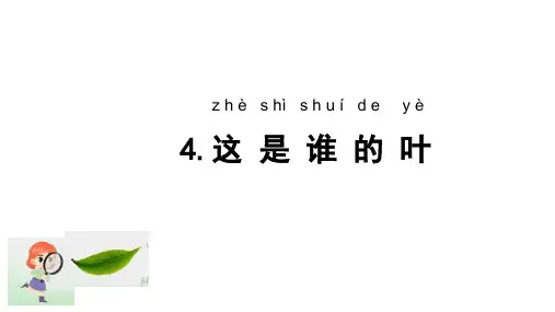这是谁的叶(课件)一年级上册科学教科版