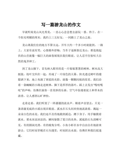 写一篇游龙山的作文