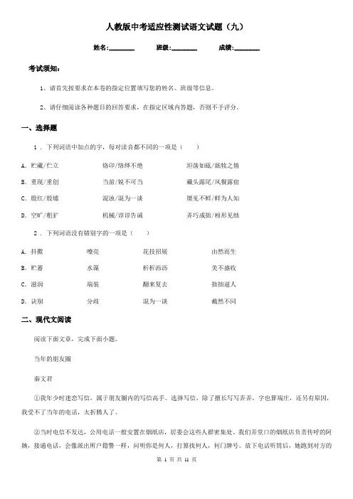 人教版中考适应性测试语文试题(九)
