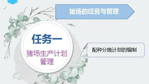 猪场生产计划管理 配种分娩计划的编制