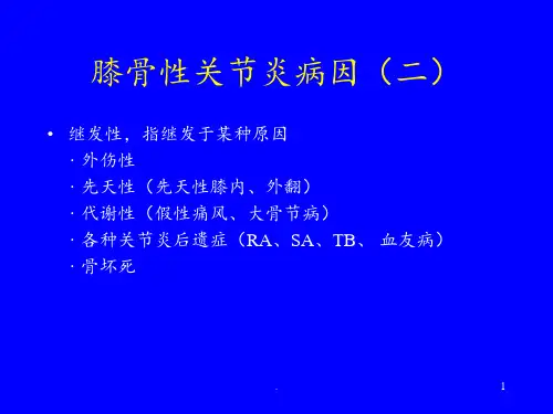 膝骨性关节炎的诊断与治疗PPT课件