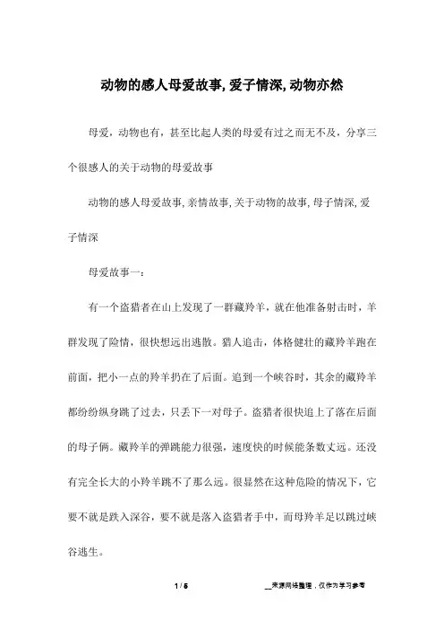 动物的感人母爱故事,爱子情深,动物亦然