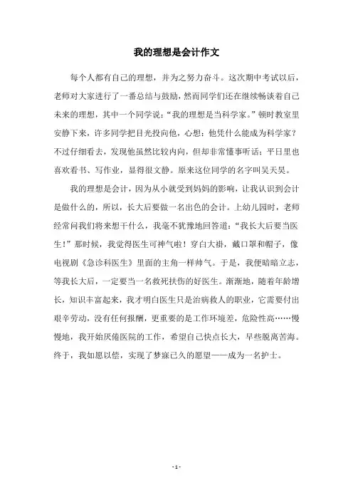 我的理想是会计作文