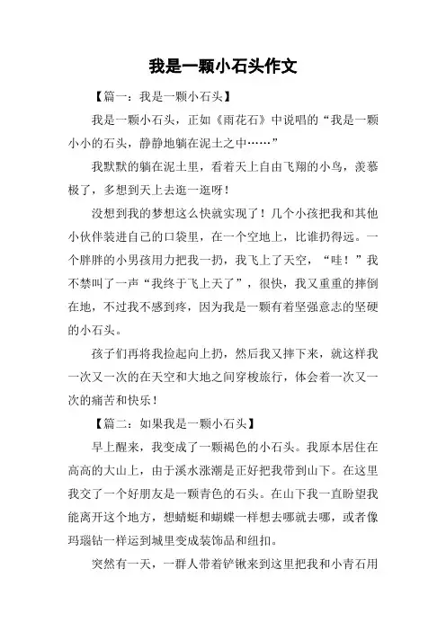 我是一颗小石头作文_1