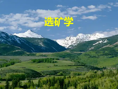 选矿学PPT课件