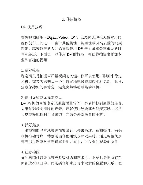 dv使用技巧