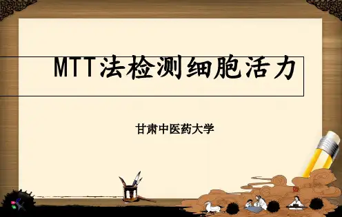 MTT法检测细胞活力