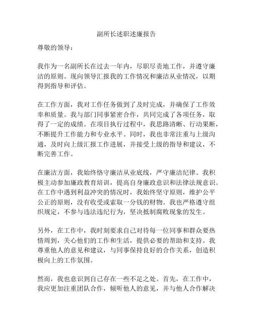 副所长述职述廉报告