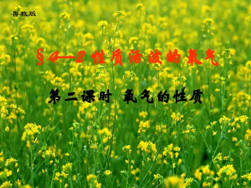 氧气课件—八年级化学鲁教版(五四学制)全一册