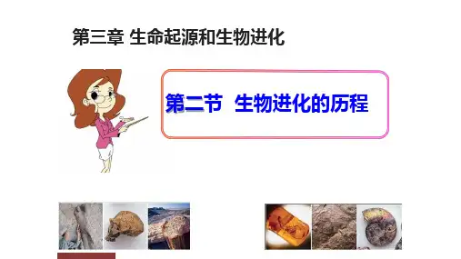 人教版八年级生物下册7.3.2 生物进化的历程课件(共24张PPT)