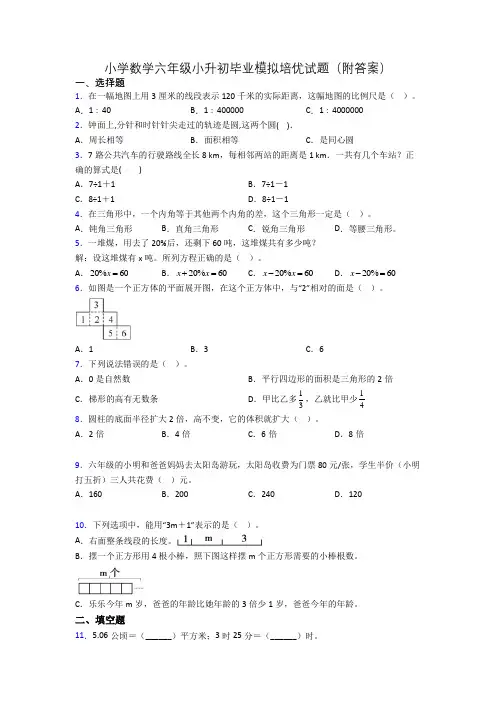 小学数学六年级小升初毕业模拟培优试题(附答案)