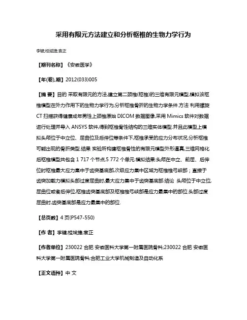 采用有限元方法建立和分析枢椎的生物力学行为