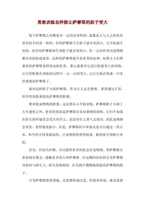 勇敢训练 怎样能让萨摩耶的胆子变大