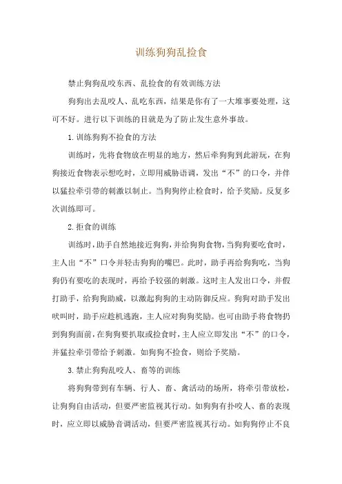 训练狗狗乱捡食