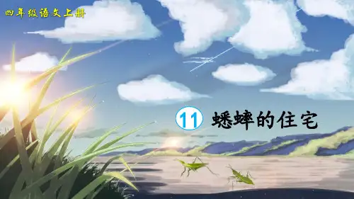 《蟋蟀的住宅》精品课件(第二课时)
