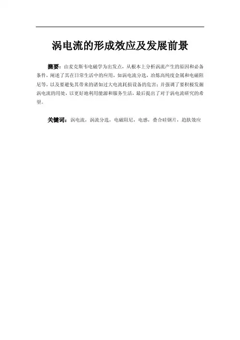 涡电流的形成效应及发展前景
