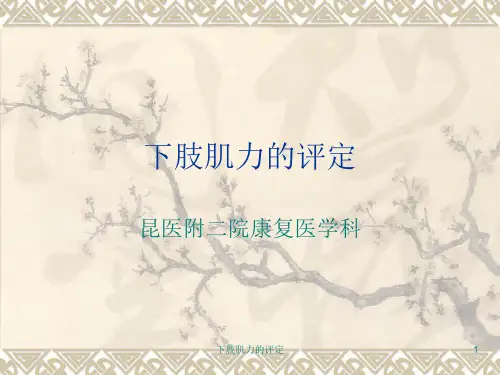 下肢肌力的评定ppt课件