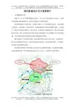 沈阳蒲河新城地区项目调查报告