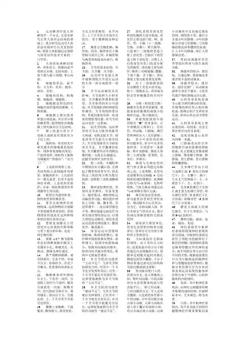 运动解剖学