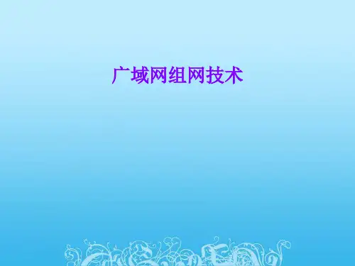 广域网组网技术