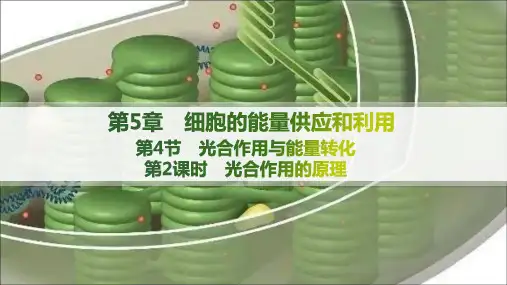 人教版高中生物学必修1精品课件 第5章 细胞的能量供应和利用 第4节  第2课时 光合作用的原理