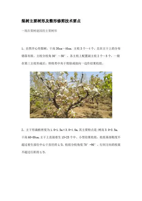梨树主要树形及整形修剪技术要点