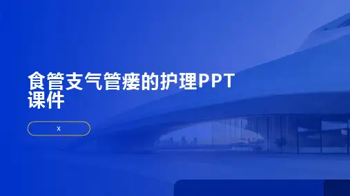 食管支气管瘘的护理PPT课件