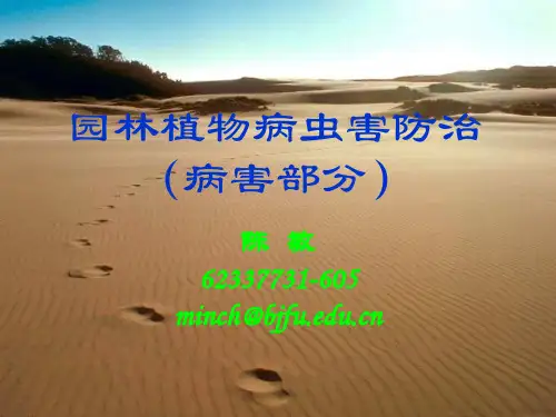园林植物病虫害 课件