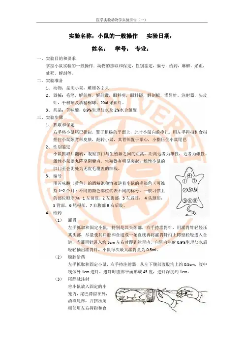 实验动物学报告1