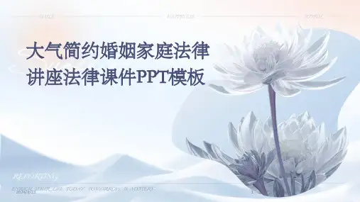 2024年度大气简约婚姻家庭法律讲座法律课件PPT模板(1)