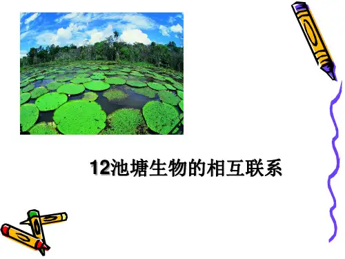 12池塘生物的相互联系