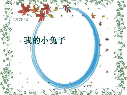 小学二年级作文《我的小兔子》250字(共6页PPT)