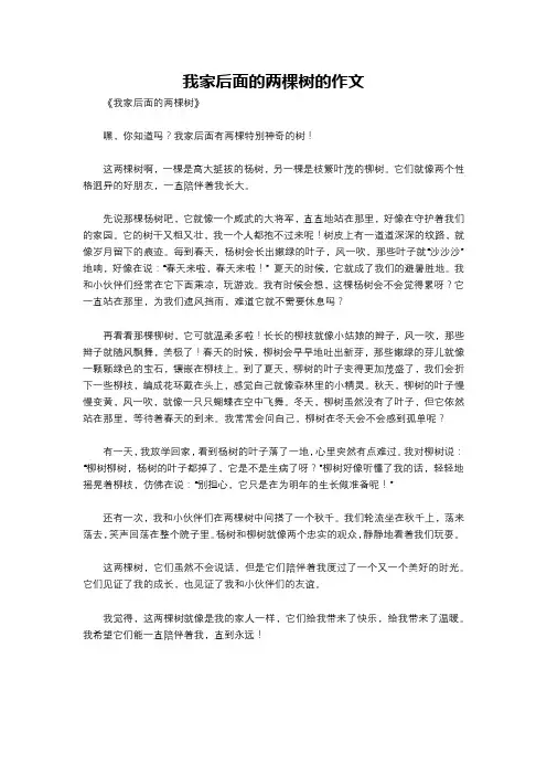 我家后面的两棵树的作文