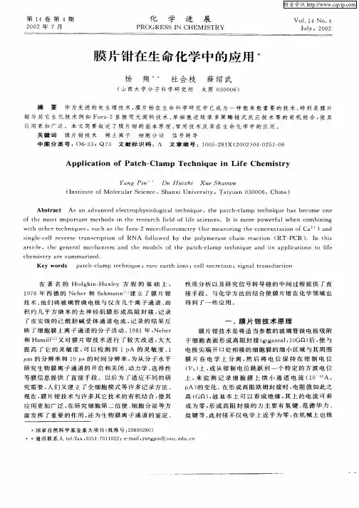 膜片钳在生命化学中的应用