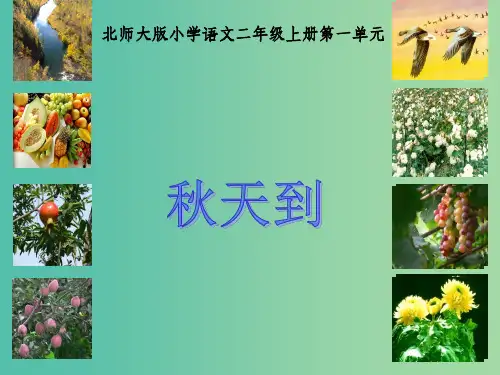 二年级语文上册《秋天到》课件5 北师大版
