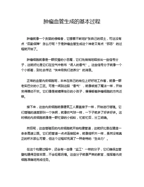 肿瘤血管生成的基本过程