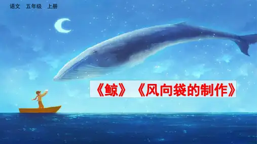 部编版五年级上册第五单元习作例文《鲸》《风向袋的制作》课件(共25张PPT)
