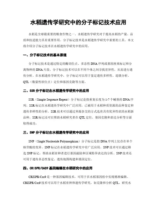 水稻遗传学研究中的分子标记技术应用