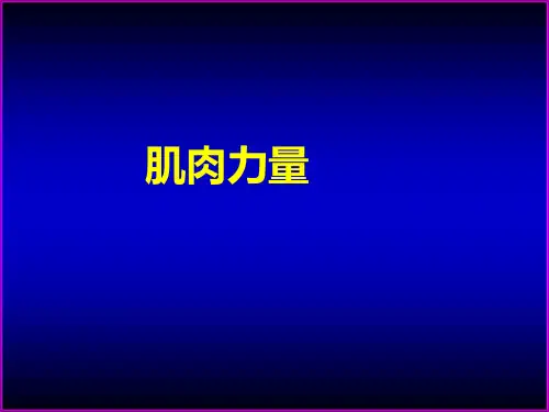 肌肉力量