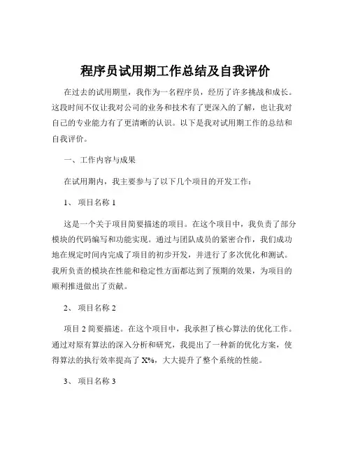 程序员试用期工作总结及自我评价